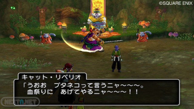 Dragon Quest X 11-06 03