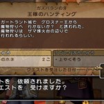 Dragon Quest X 02-08 10