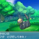 1407-19 Pokémon Rubí Omega Zafiro Alfa 06