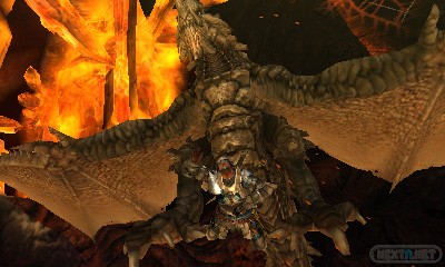 1306-27 Monster Hunter 4 19