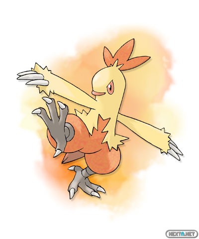 1308-09 Pokémon X-Y Combusken