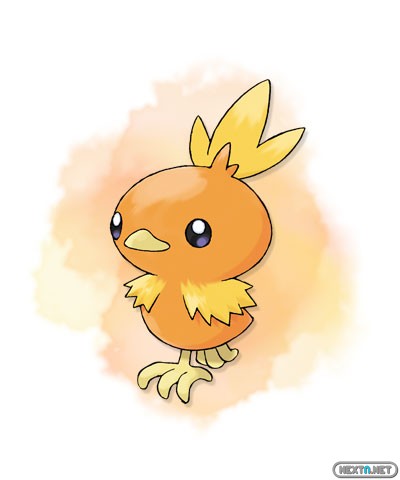 1308-09 Pokémon X-Y Torchic artwork