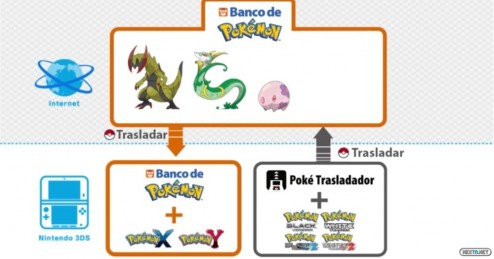 1309-04 Poké Trasladador 01