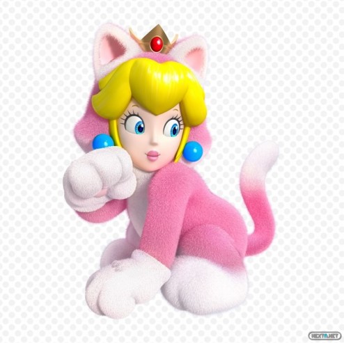 1310-25 Super Mario 3D World 03