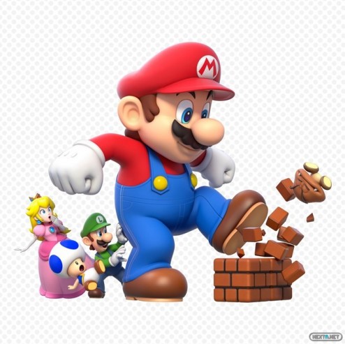1310-25 Super Mario 3D World 26