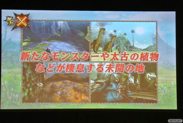 1506-01 Monster Hunter X 3DS 003