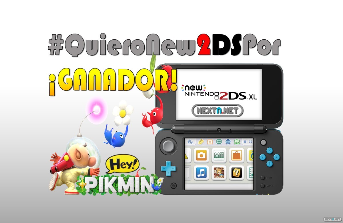 Concurso Hey Pikmin Ganador