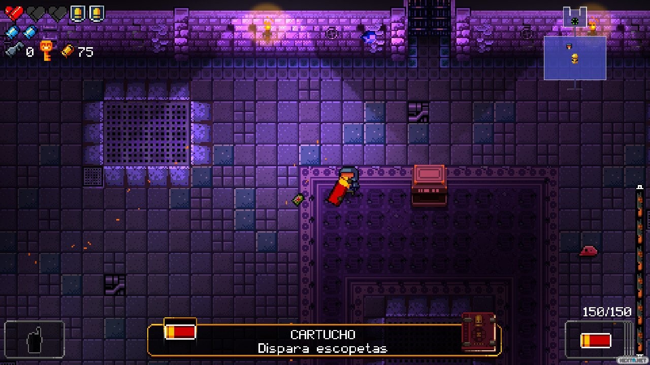 Enter the Gungeon