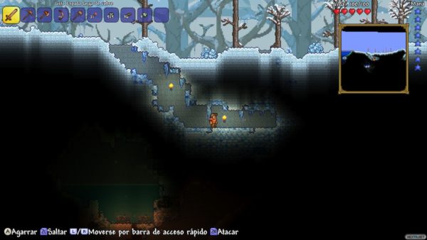 Terraria