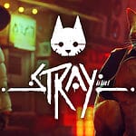 Stray